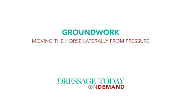 Groundwork - Moving the Horse Lateral...