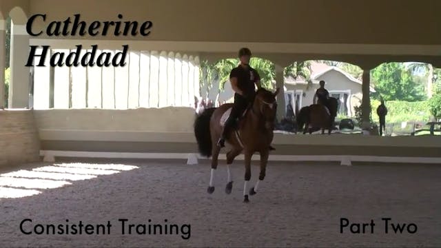 Consistent Training | Catherine Hadda...