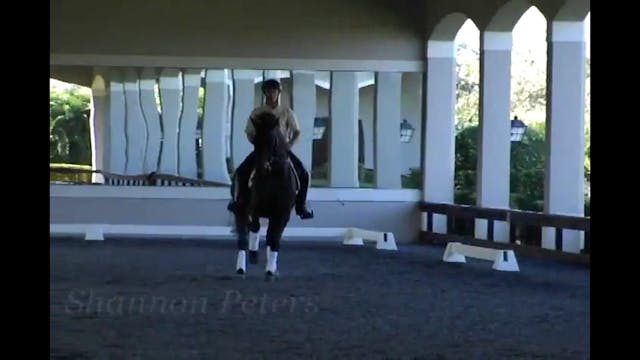 Exercises for Elasticity | Shannon Pe...