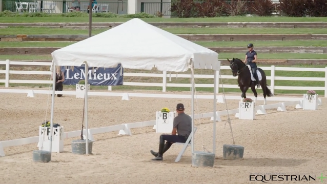 Intermediate | Steffen Peters | Colorado Clinic Day 1