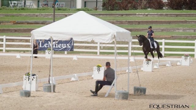 Intermediate | Steffen Peters | Color...