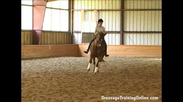 Getting Your Horse Sensitive | Courtn...