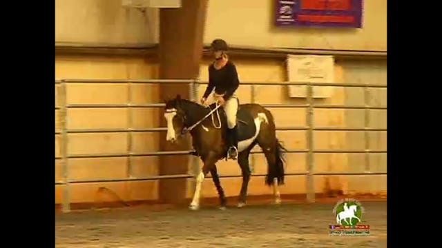 Jennifer Roth judging Intermediare I,...