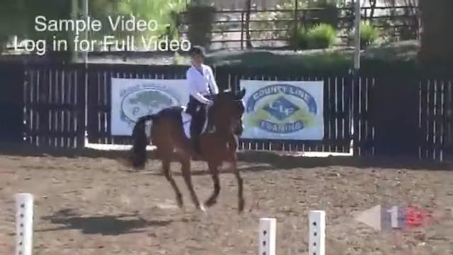 Bouncy Show Jumping Canter - Trailer