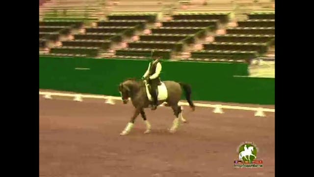 2009 Adequan/USDF Symposium | Jan Bri...