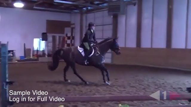 Stadium Exercises For Green Horses | ...