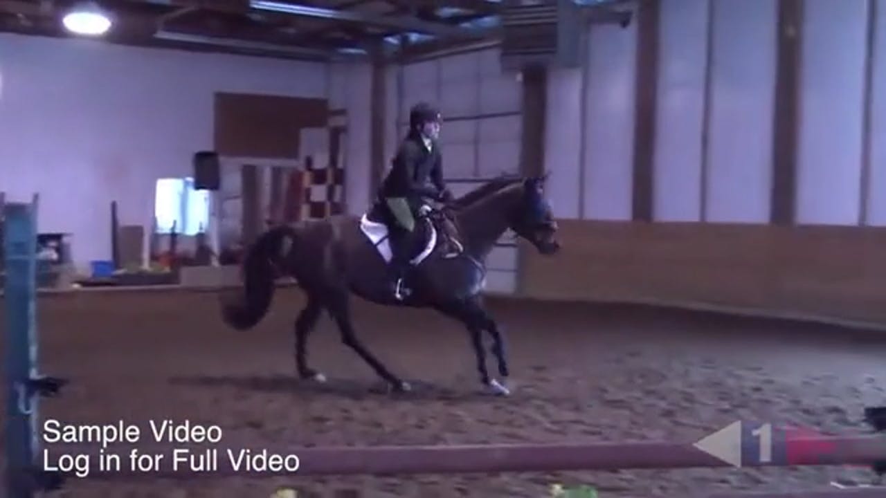 Trailer 1 Stadium Exercises For Green Horses Equestrian+