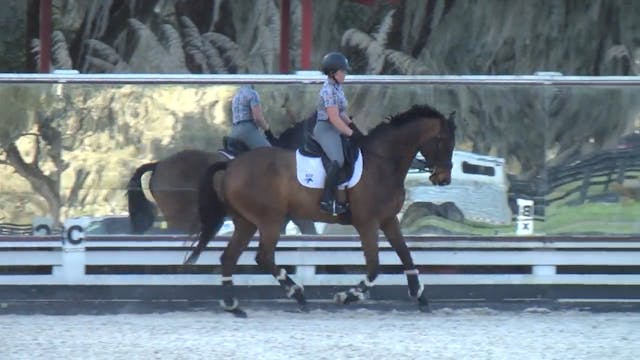 Improving Suppleness | Liz Halliday-S...