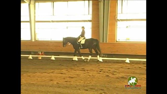 Axel Steiner Judging Commentary, 3rd ...