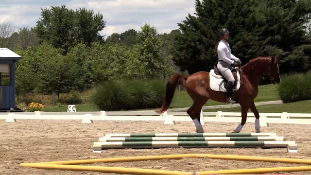 Canter Work Over Cavalletti