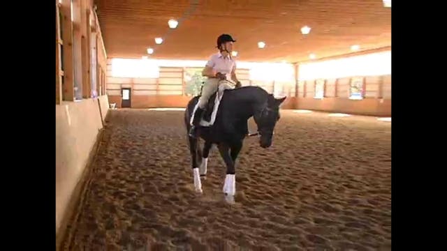 Young Horses FEI classes | Steffen Pe...