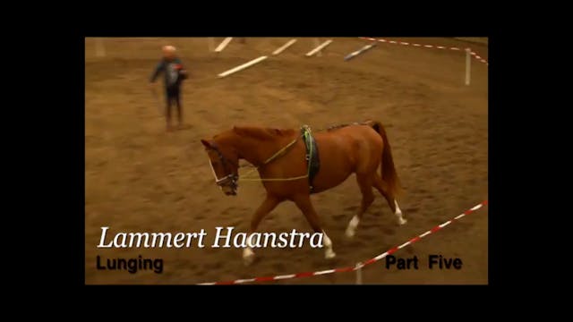 Basic Training in Lunging | Lammert H...