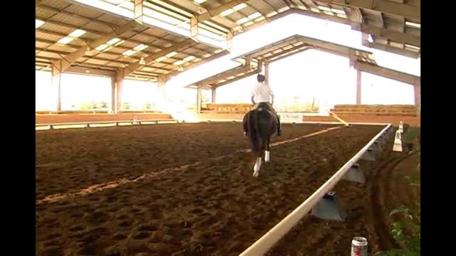 FEI, Adjustability, Tempi Changes | J...
