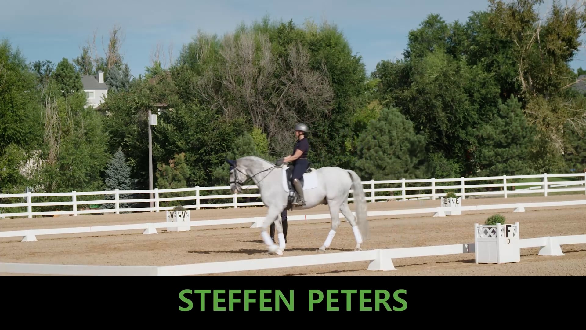 Third/Fourth Level – Horse 1 | Steffen Peters | Colorado Clinic Day 1