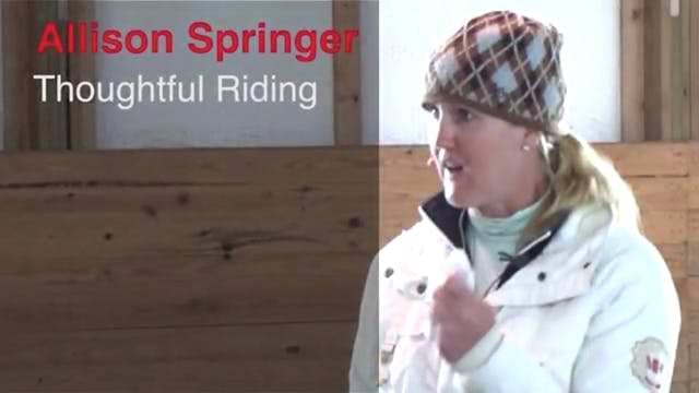 Thoughtful Riding, Flatwork & Grids -...