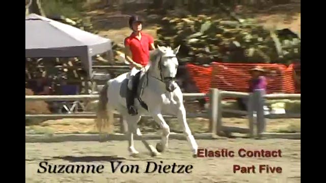 Training Basics, Elastic Contact | Su...