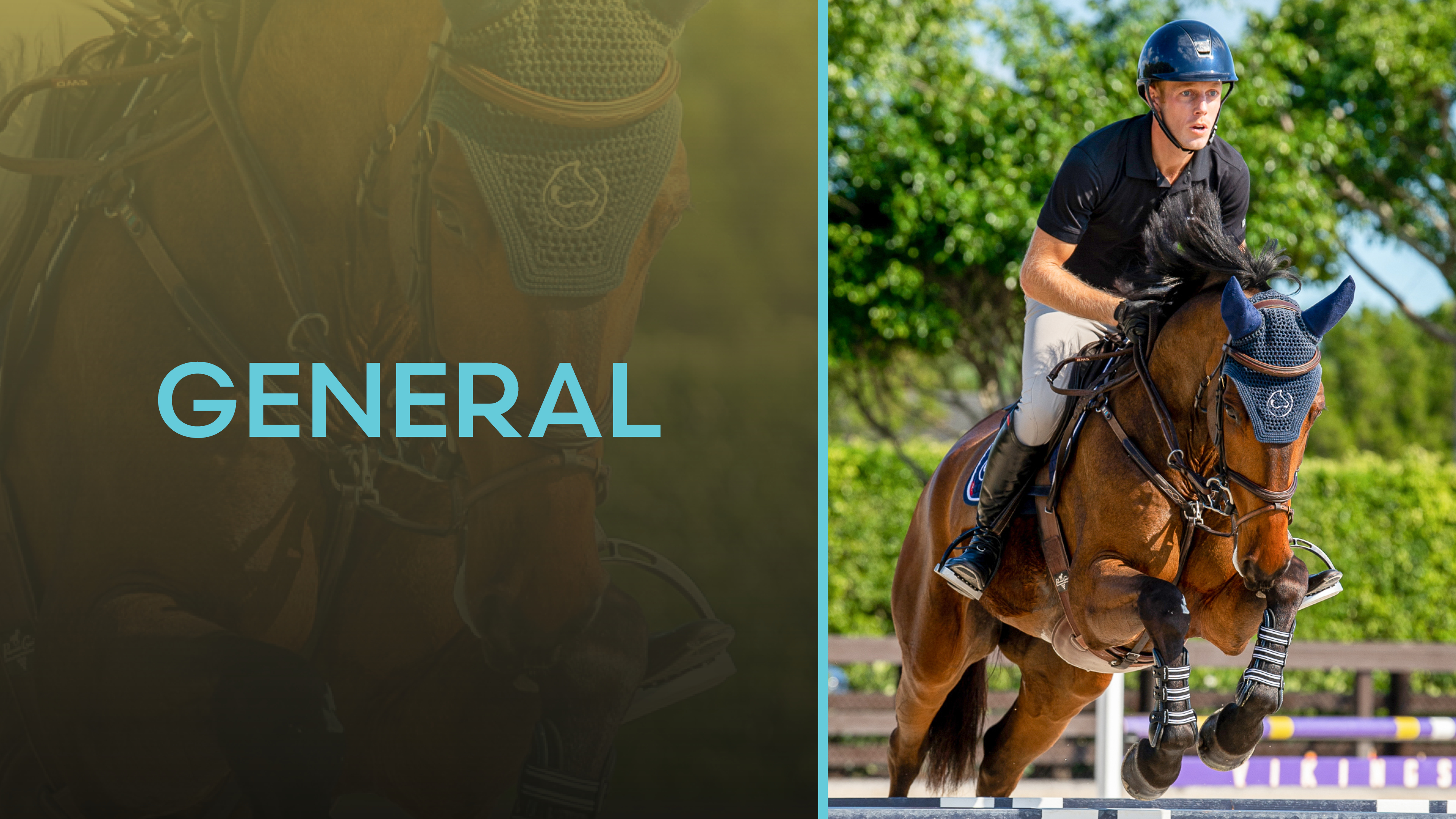 Hunter/Jumper General