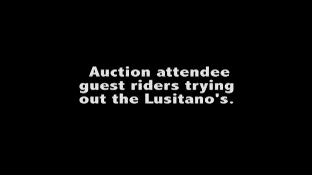 The Lusitano Collection Auction