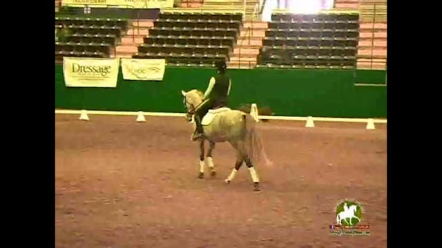 2009 Adequan/USDF Symposium | Jan Bri...