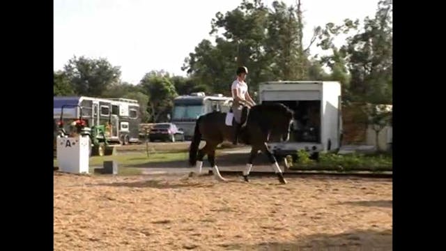 Gait Quality on Grand Prix horse | Ar...