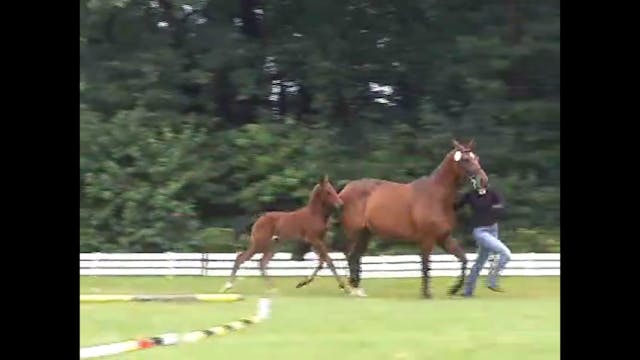 Catherine Haddad & The Double Bridle ...