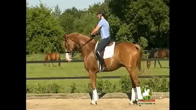 Catherine, WEG 2010 Reserve Pair, Gra...