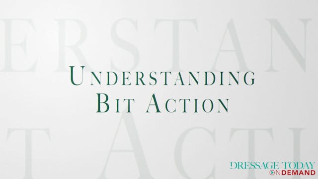 Understanding Bit Action with Stephan...