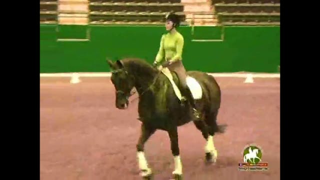 Rhythm, improving the gait and canter...