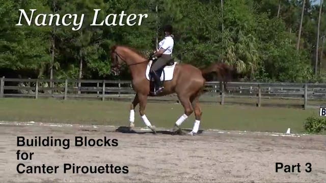 Building Blocks for Canter Pirouettes...