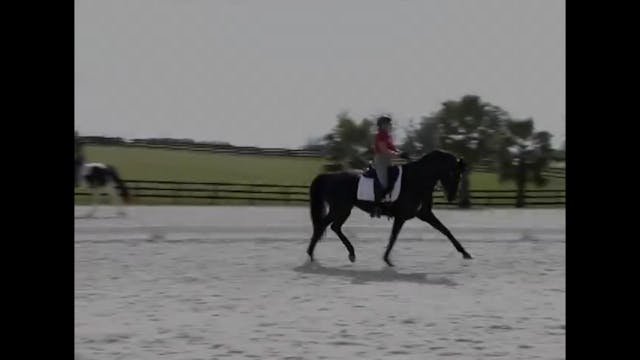 Pirouette, Extended Walk, Half Pass: ...