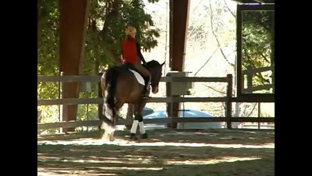 Alex Gerding training Gundi Younger a...