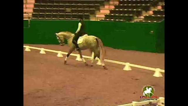 2009 Adequan/USDF Symposium | Jan Bri...