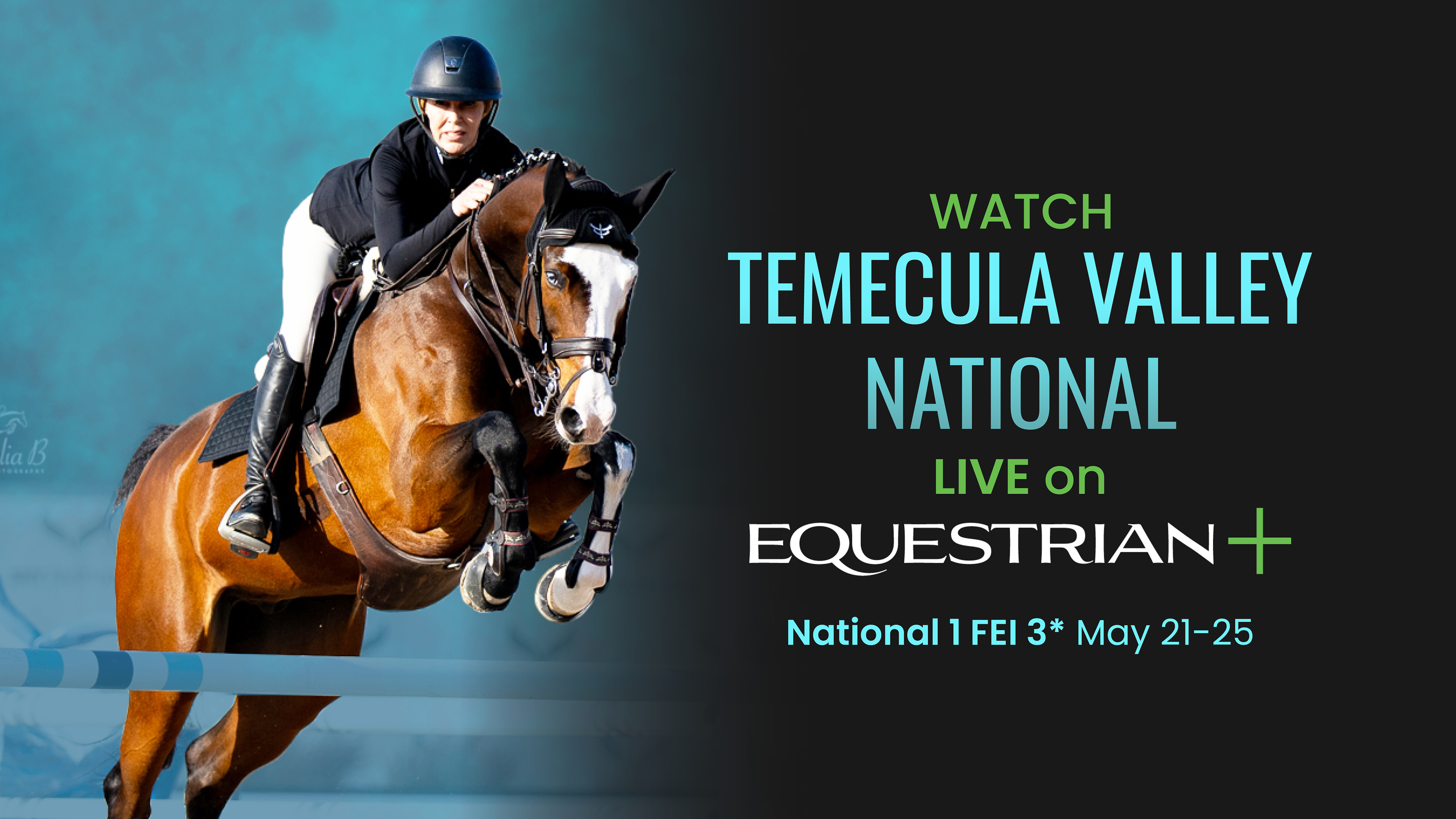 Temecula Valley National | Grand Hunter Arena | National 1 - 05/25/2025