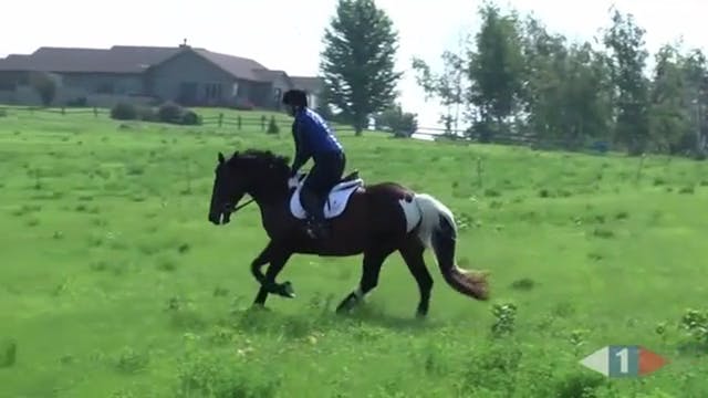 Novice Galloping Ditches - Part 1