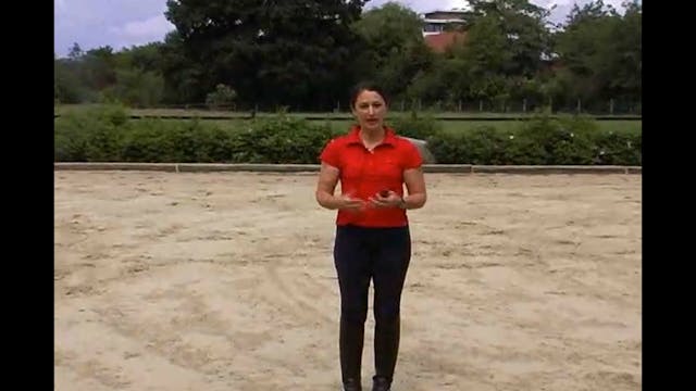 Young Horse Focus with Catherine Haddad