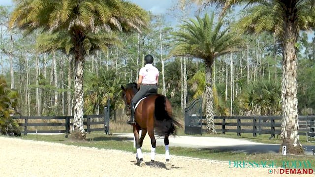 Balance Your Horse for Better Rhythm ...