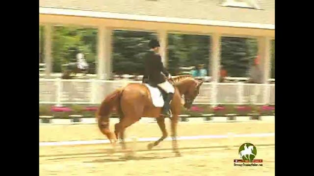 2010 Markel/USEF Ntl. Young Horse Cha...