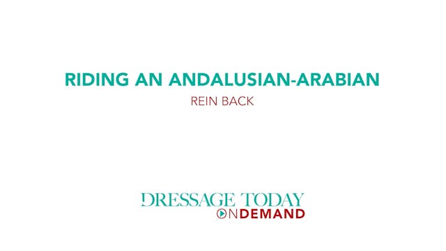 Riding an Andalusian-Arabian Rein Back