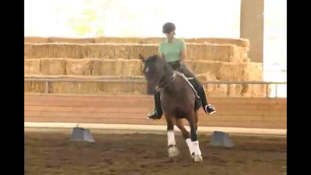 2007 Succeed/USDF FEI Level Trainer's...