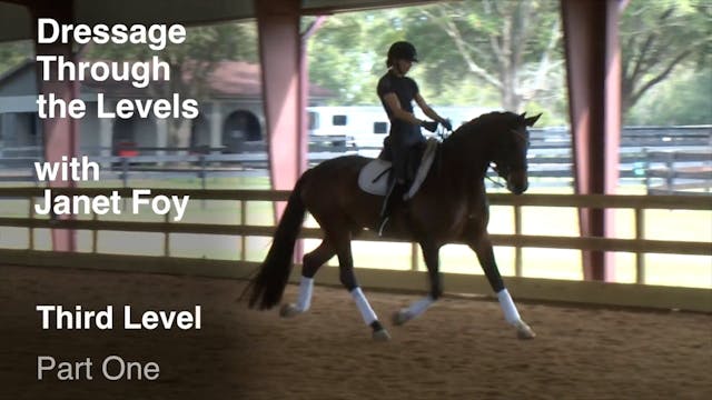 Dressage Through the Levels 2017 - Th...