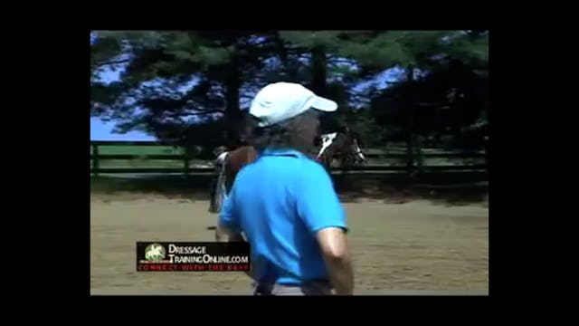 The Basics in Equitation, Seat, Postu...