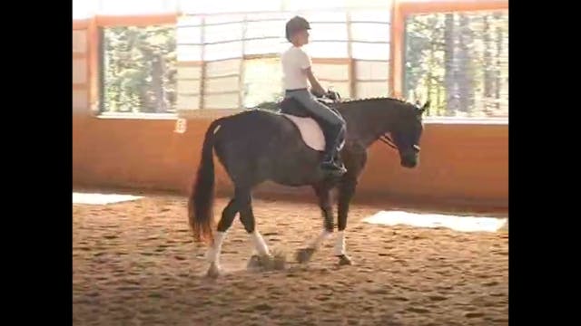 Steffen Peters and Janet Foy, Young H...