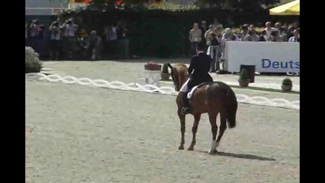 World Equestrian Festival, Freestyles...