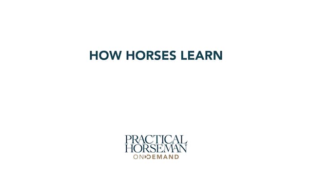 How Horses Learn | Chelsea Canedy