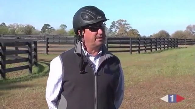 Stadium Jumping | David O'Connor & Si...