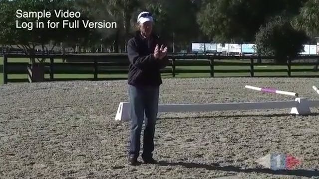 ICP Clinic - Stride Control, Part 3