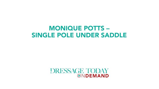 Single Pole Under Saddle