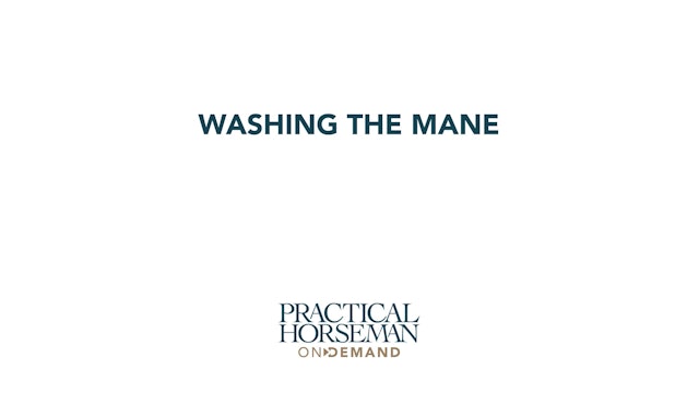 Washing the Mane