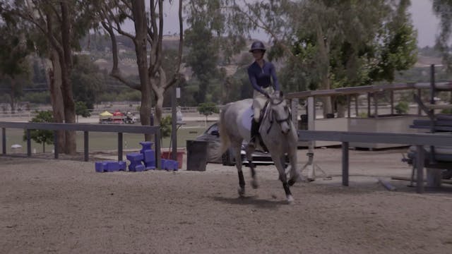 Schooling a Jumper Course with a Youn...