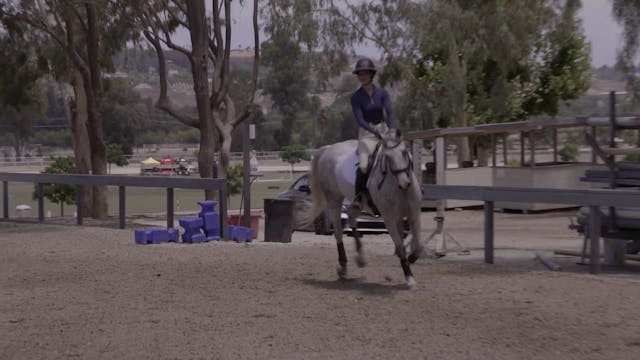 Schooling a Jumper Course with Young ...